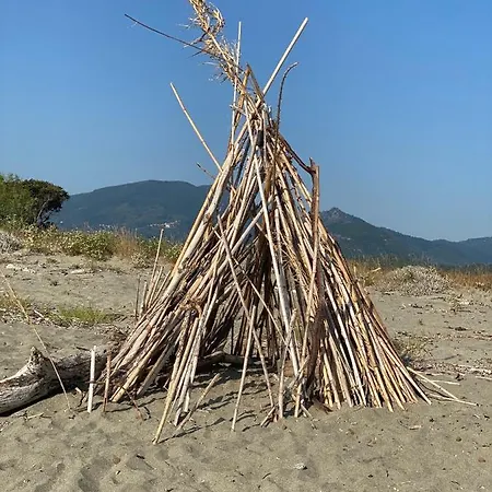 Lucia, Avec Piscine , Vue Et Pied Dans L'eau , Moriani-plage *