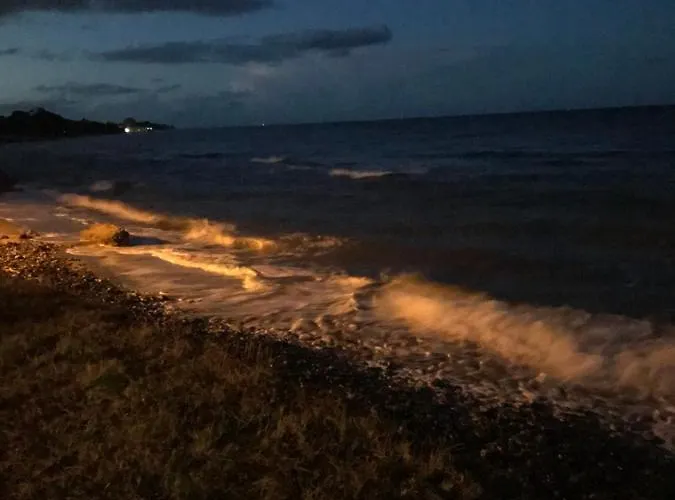 Lucia, Avec Piscine , Vue Et Pied Dans L'eau , Moriani-plage Апартаменты *