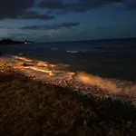Lucia, Avec Piscine , Vue Et Pied Dans L'eau , Moriani-plage Apartmán *
