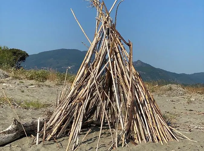 Lucia, Avec Piscine , Vue Et Pied Dans L'eau , Moriani-plage *